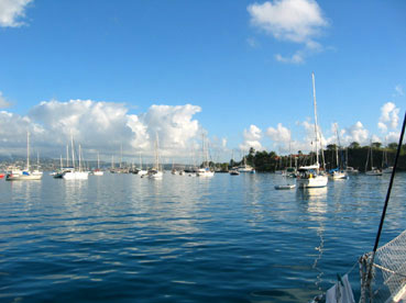 rencontre alizé martinique